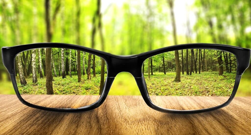 A pair of eyeglasses focuses in on trees in a forest.